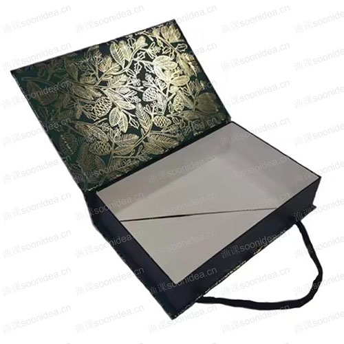 Double plug box